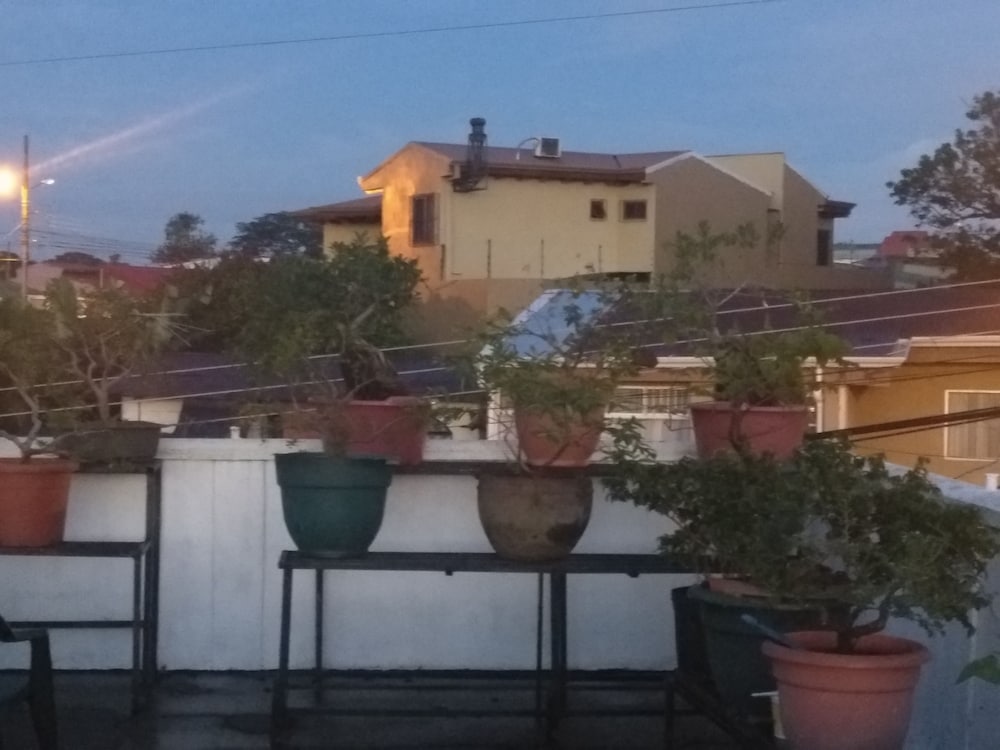 Panoramic Single Room, 1 Bedroom, Balcony, Mountain View