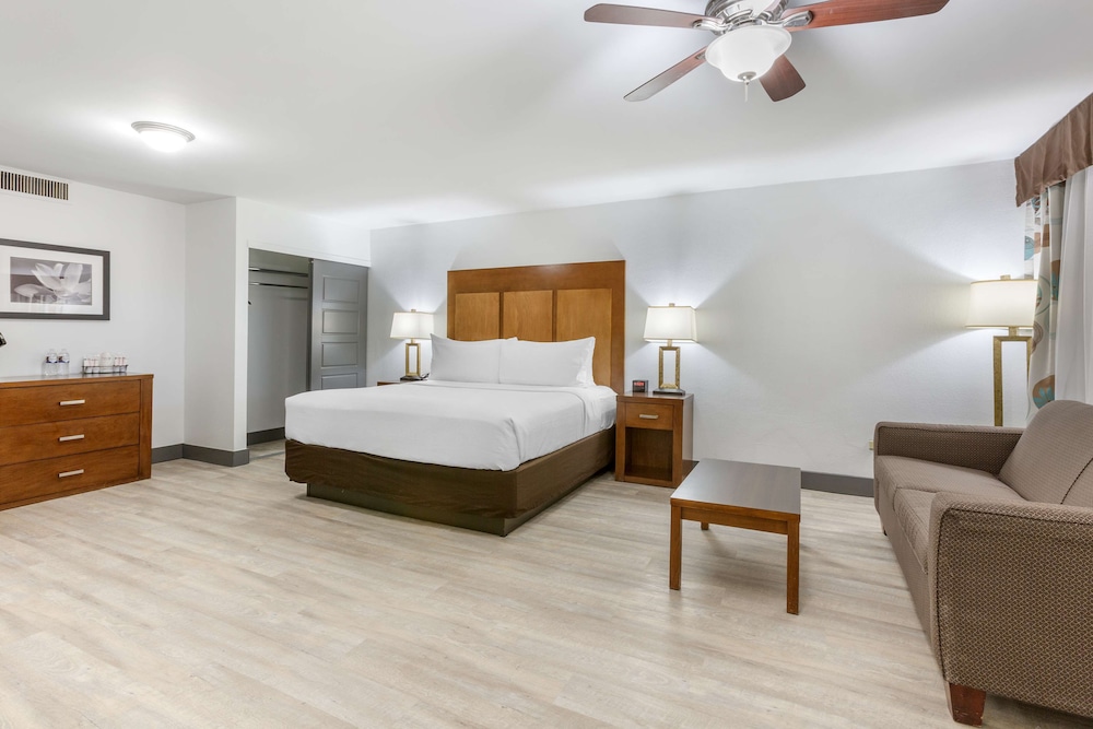 Standard Room, 1 King Bed, Non Smoking (2nd Floor;Larger Room;with Sofabed) - Photo 2