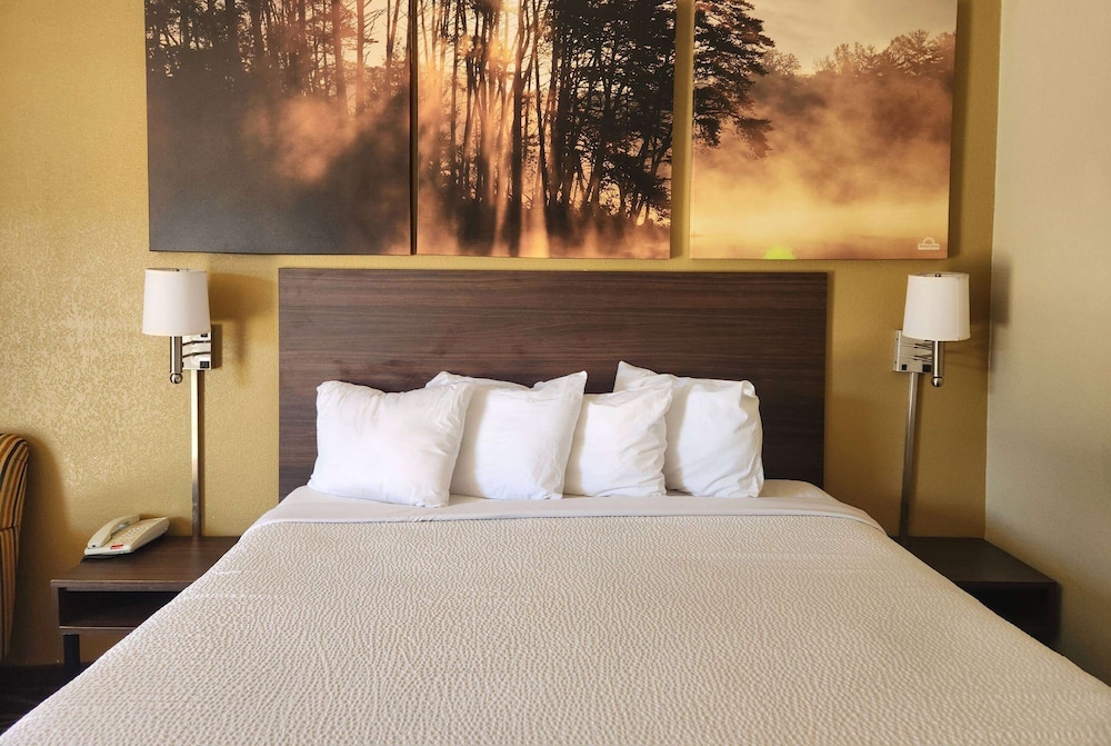 Standard Room, 1 King Bed, Non Smoking - Photo 1
