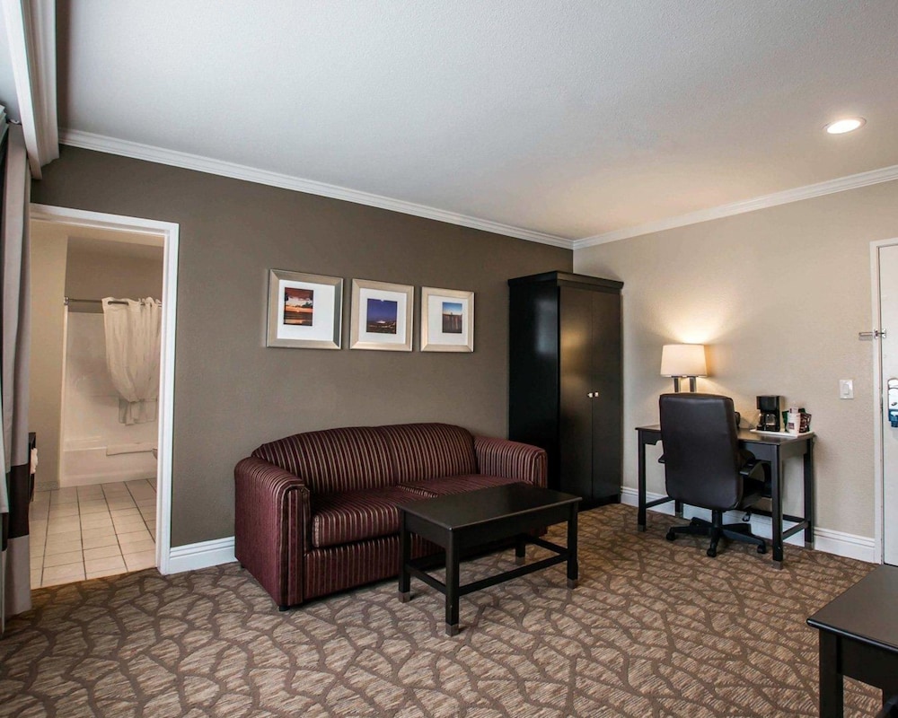 Deluxe Suite, 1 King Bed with Sofabed, Jetted Tub, Non Smoking - Photo 8