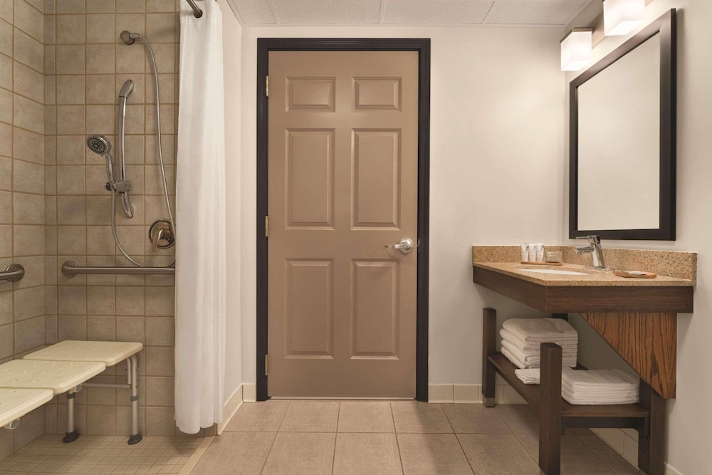 Studio Suite, 1 King Bed, Accessible, Non Smoking (Roll-in Shower) - Photo 4