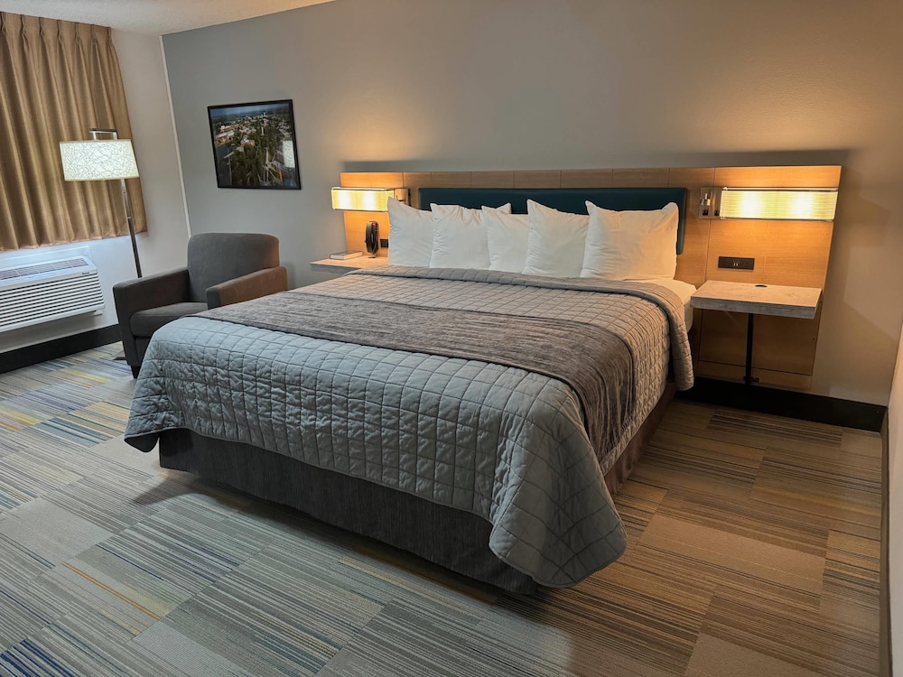 Standard Room, 1 King Bed, Non Smoking - Photo 8