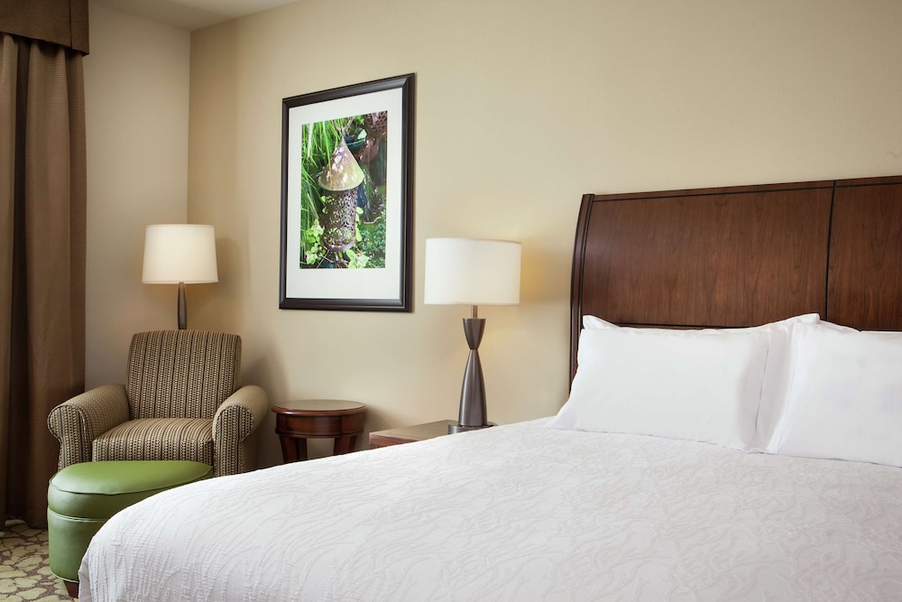 Room, 1 King Bed, Accessible (Roll-In Shower)