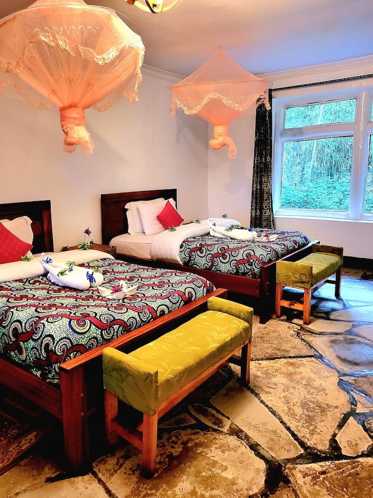 Twin Room, Mountain View
