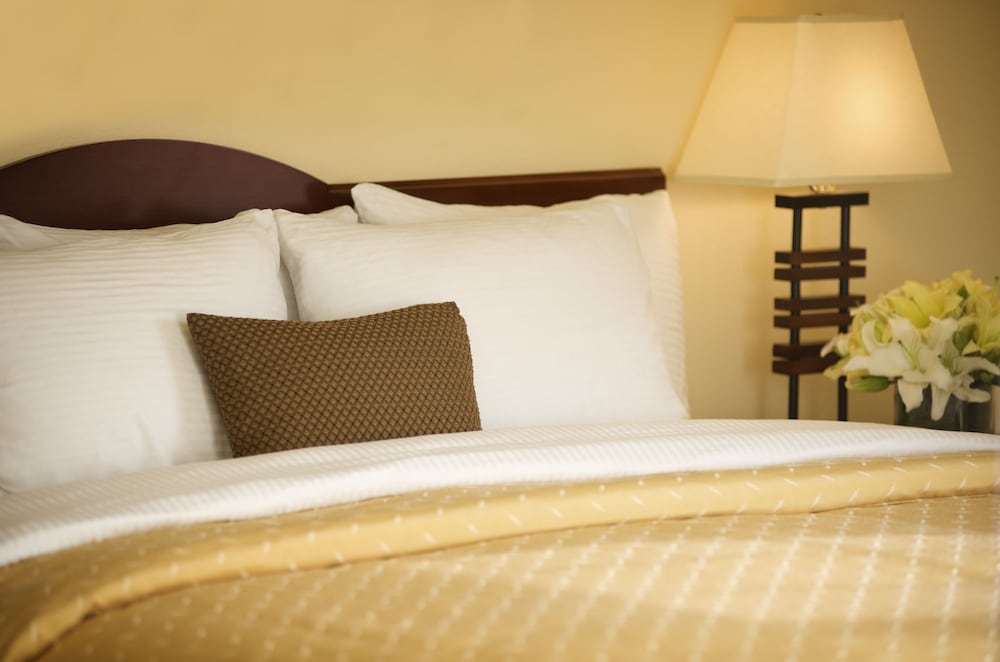 Studio Suite - Photo 2
