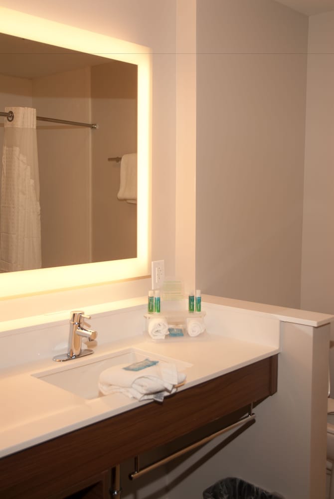 Suite, 1 King Bed photo 3
