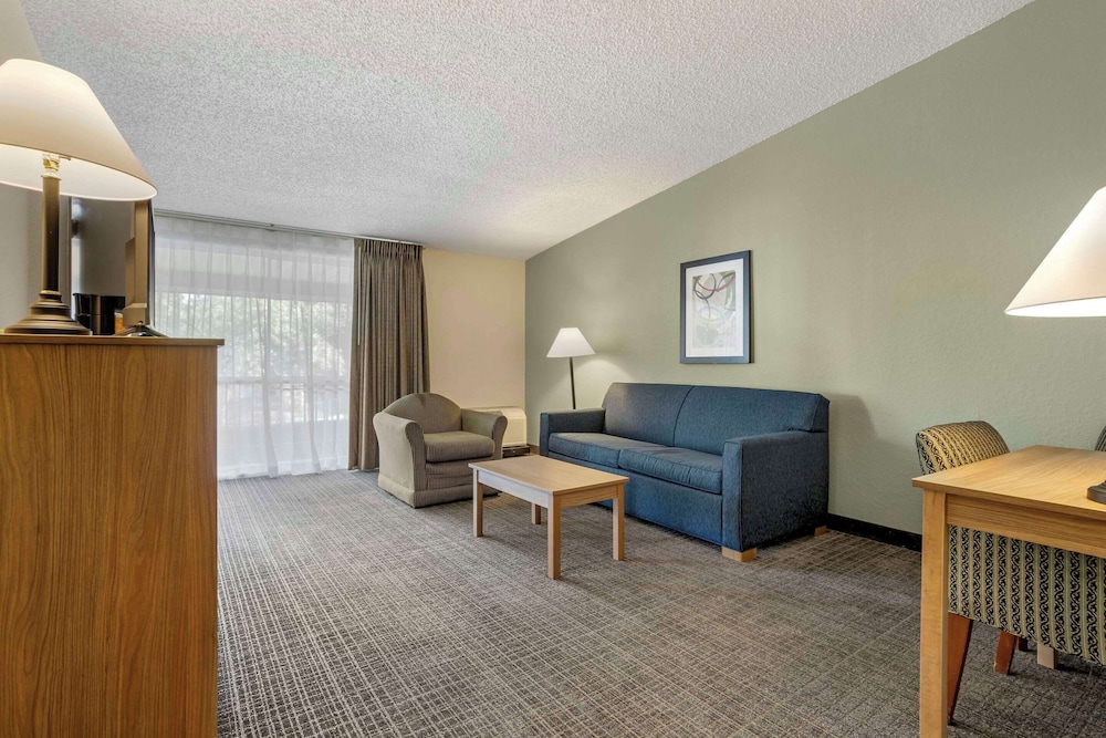 Suite, 1 King Bed with Sofa bed, Non Smoking - Photo 4