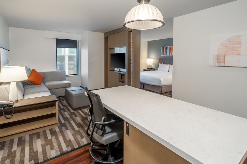 Studio, 1 King Bed with Sofa bed (Suite)