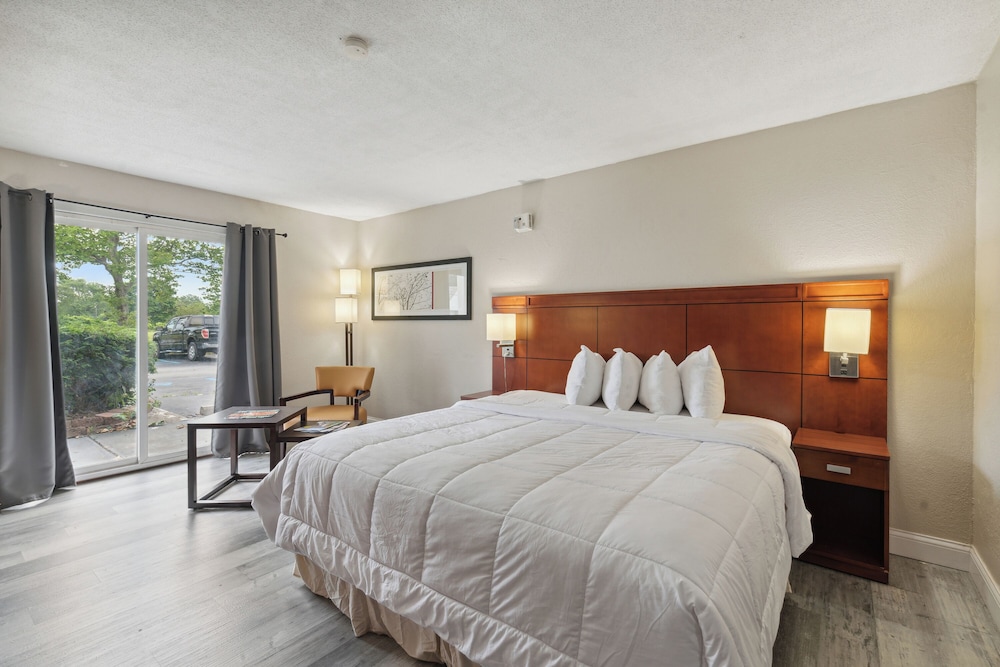 Classic Single Room, 1 King Bed photo 2