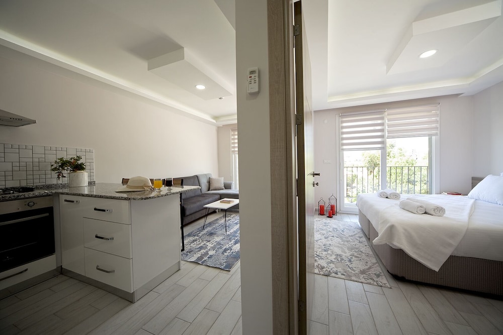 Classic Apartment