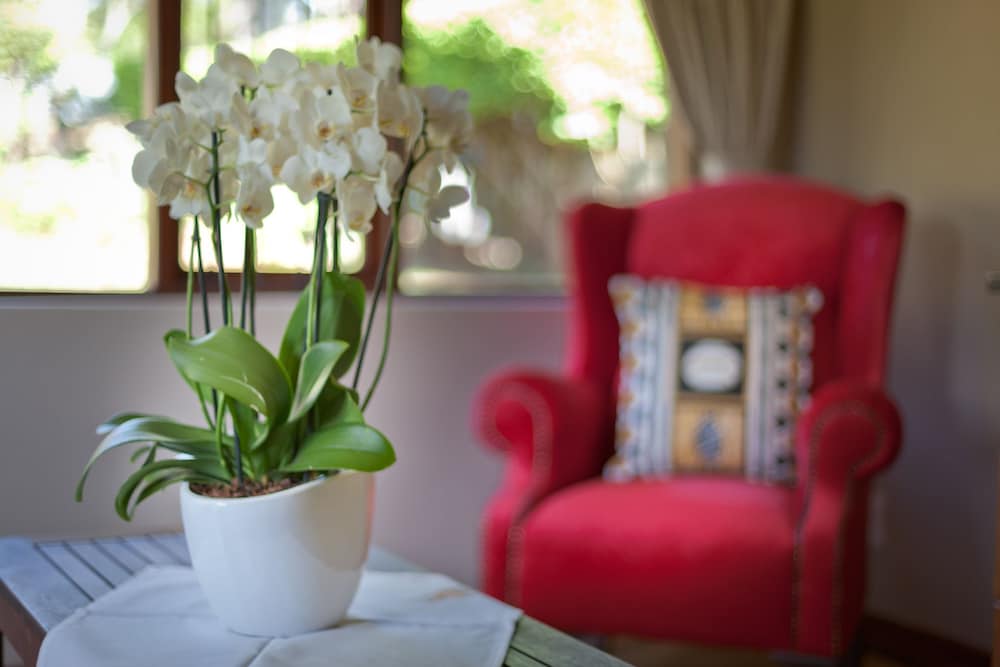 Sunbird Suite photo 2