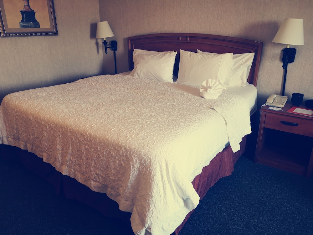 Deluxe Room, 1 King Bed, Non Smoking - Photo 14