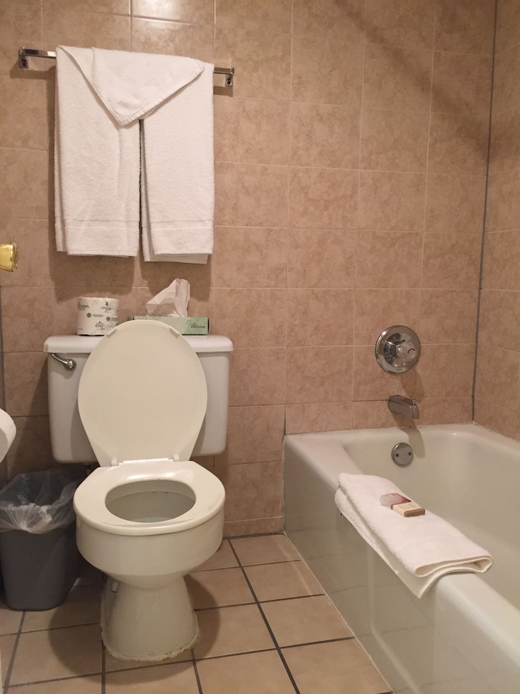 Pet Friendly Non Poolside Room with Two Full sized beds Non smoking - Photo 4