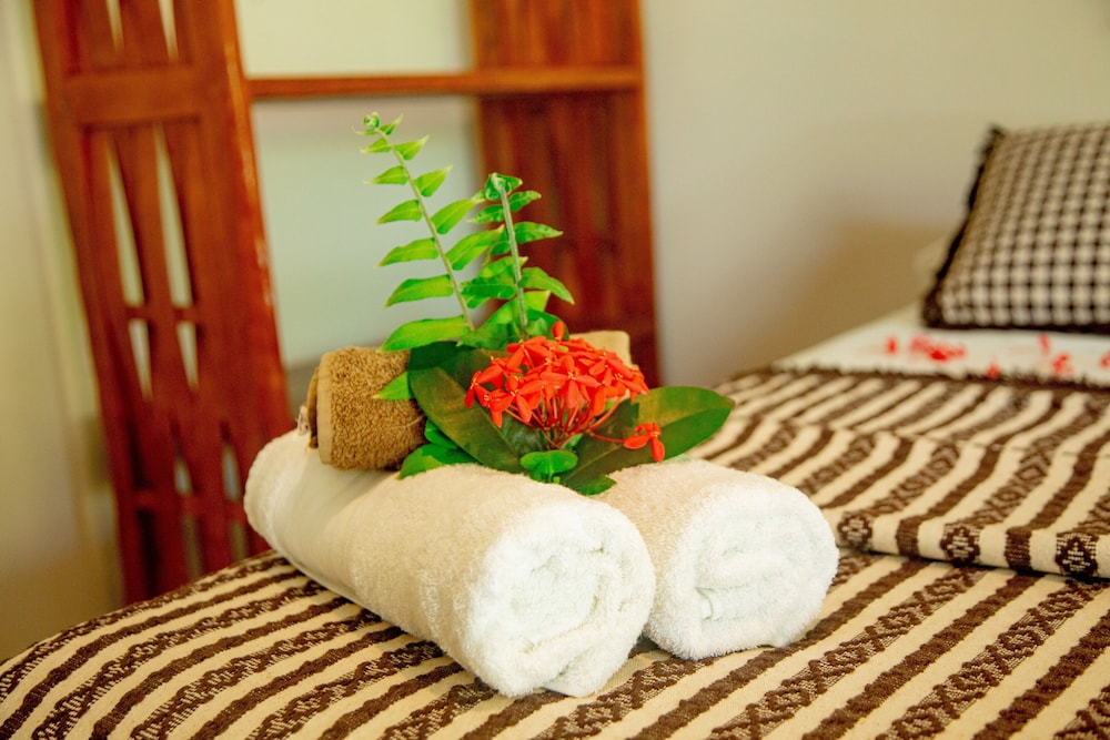Premium Double or Twin Room photo 3