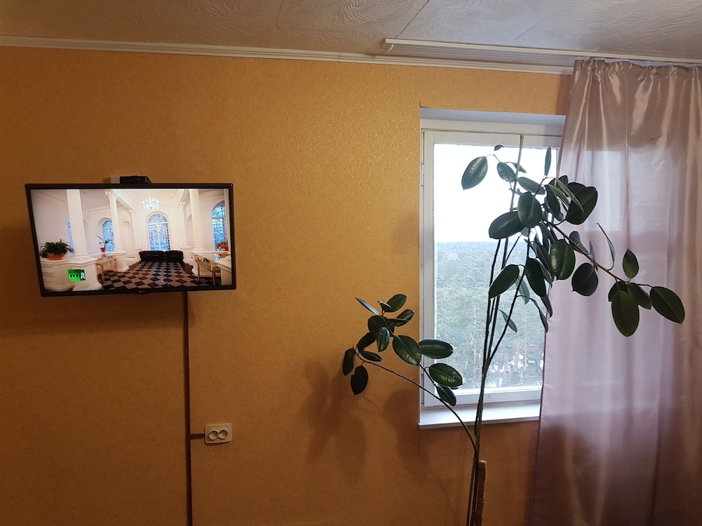 Apartment, 1 Bedroom, Smoking, Balcony photo 2