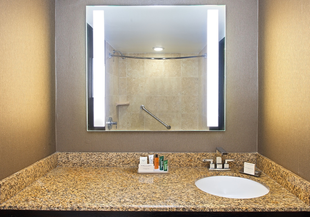 Suite, 1 Bedroom - Photo 10