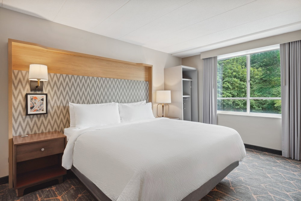 Standard Room, 1 King Bed, Accessible (Communication, Transfer Shower) - Photo 10