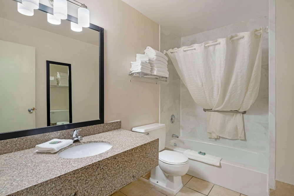 Standard Room, Multiple Beds, Non Smoking, Refrigerator & Microwave (Larger Room;with Sofabed) - Photo 4