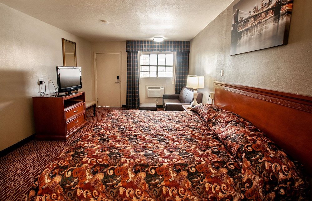 Basic Studio Suite photo 2