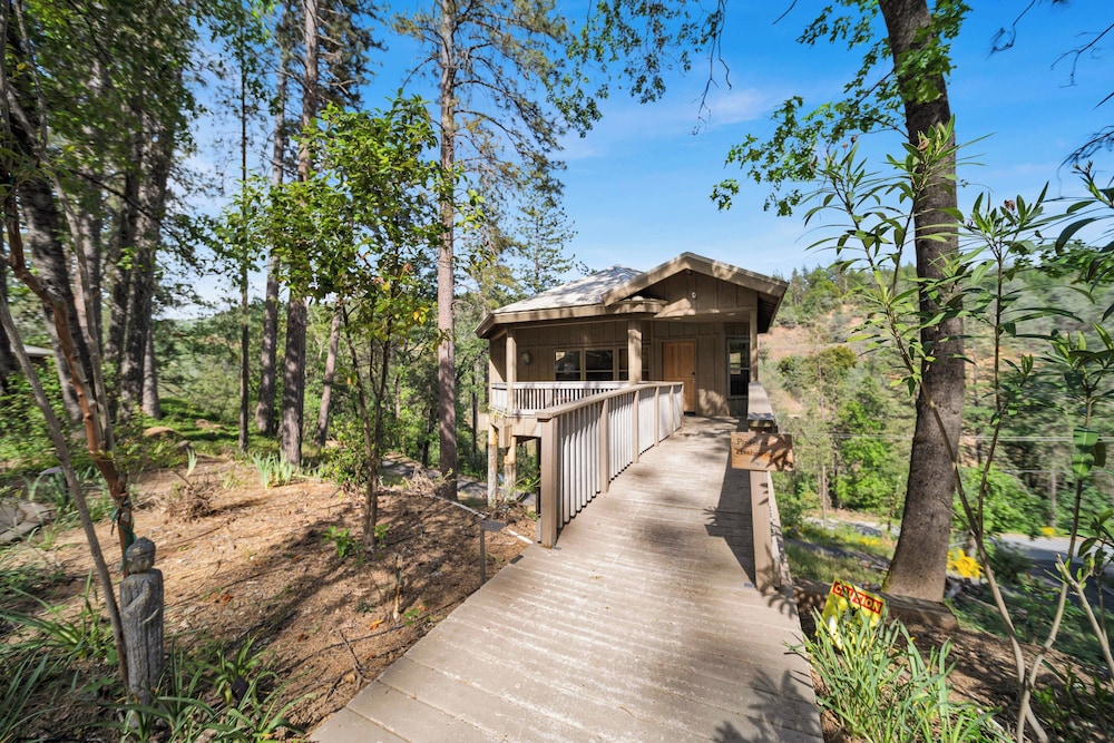 The Luxury Tree House, 1 King Bed, Jetted Tub (Pet Friendly) photo 3