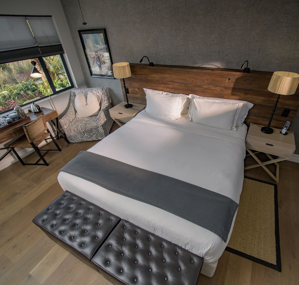Deluxe Room - Photo 4