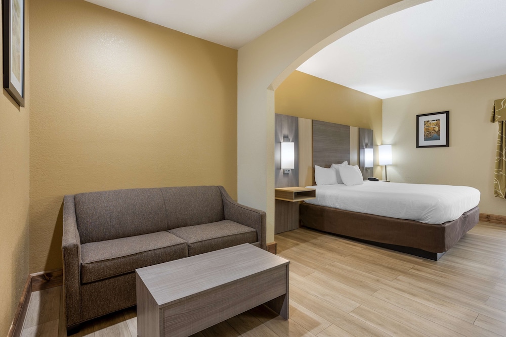 Suite, 1 King Bed, Non Smoking, Refrigerator & Microwave photo 1