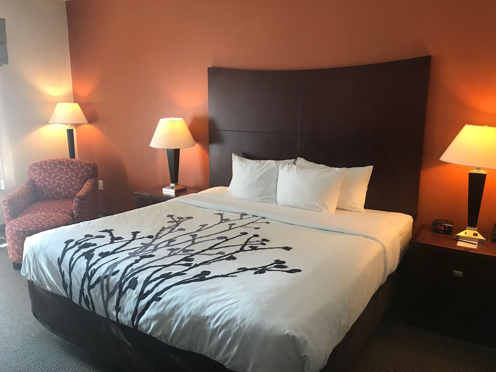 Suite, 1 King Bed with Sofa bed, Non Smoking - Photo 8