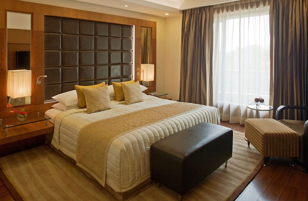 Suite, 1 Bedroom - Photo 1