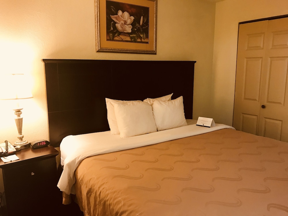 Suite, 1 King Bed, Non Smoking photo 2