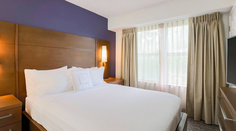 Suite, 1 Bedroom - Photo 4