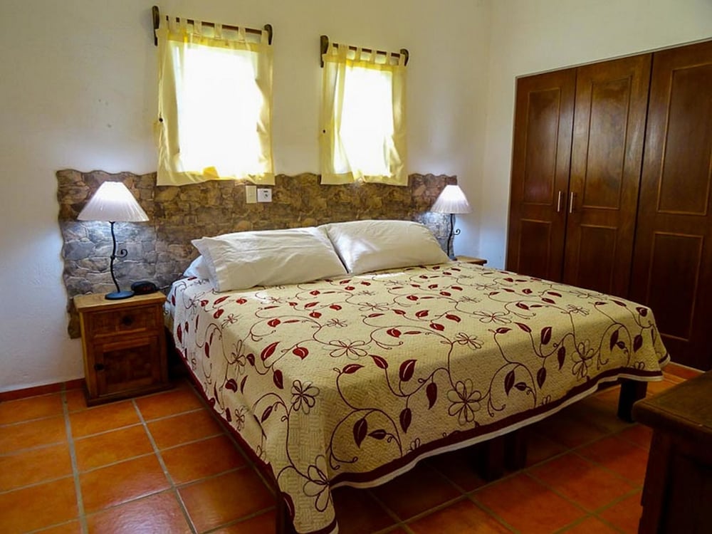 Traditional Studio, 1 King Bed photo 1