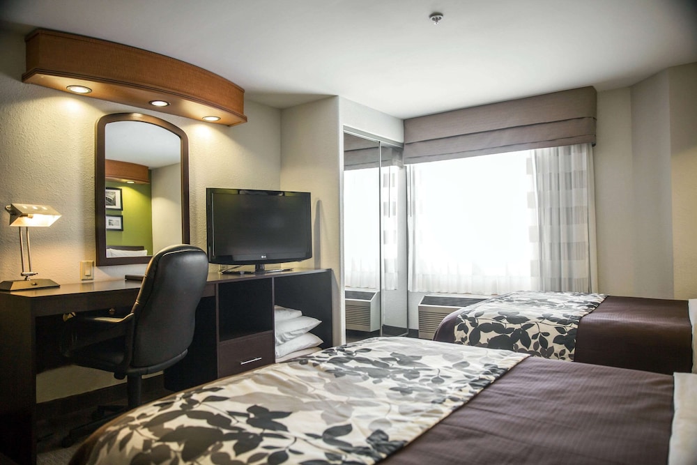 Suite, 2 Double Beds, Non Smoking photo 2