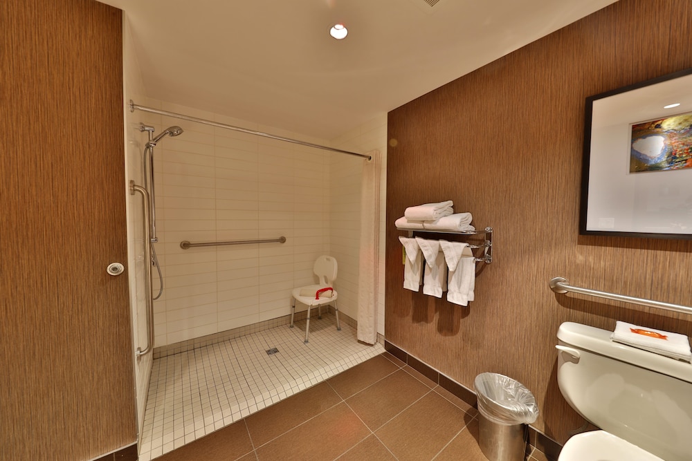 Premium Room, 1 King Bed, Accessible - Photo 4