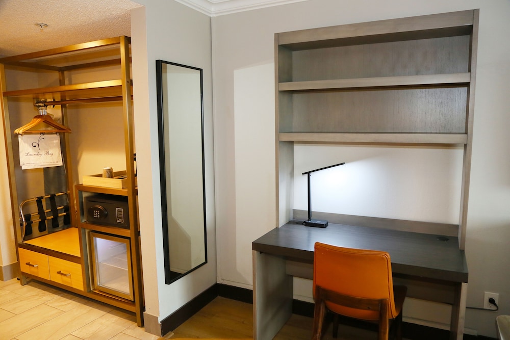 Deluxe Single Room, Non Smoking - Photo 12