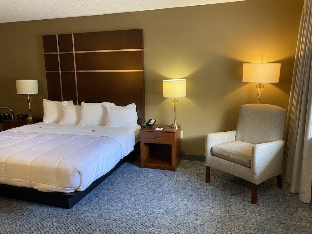 Premier Room, 1 King Bed photo 3