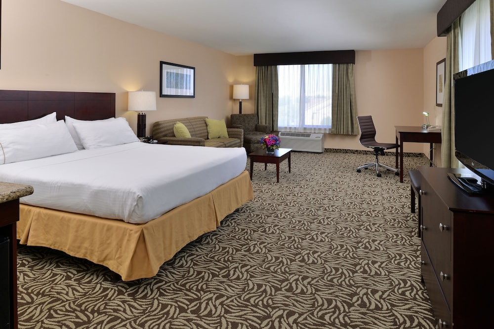 Suite, 1 King Bed (Extra Floor Space) - Photo 5