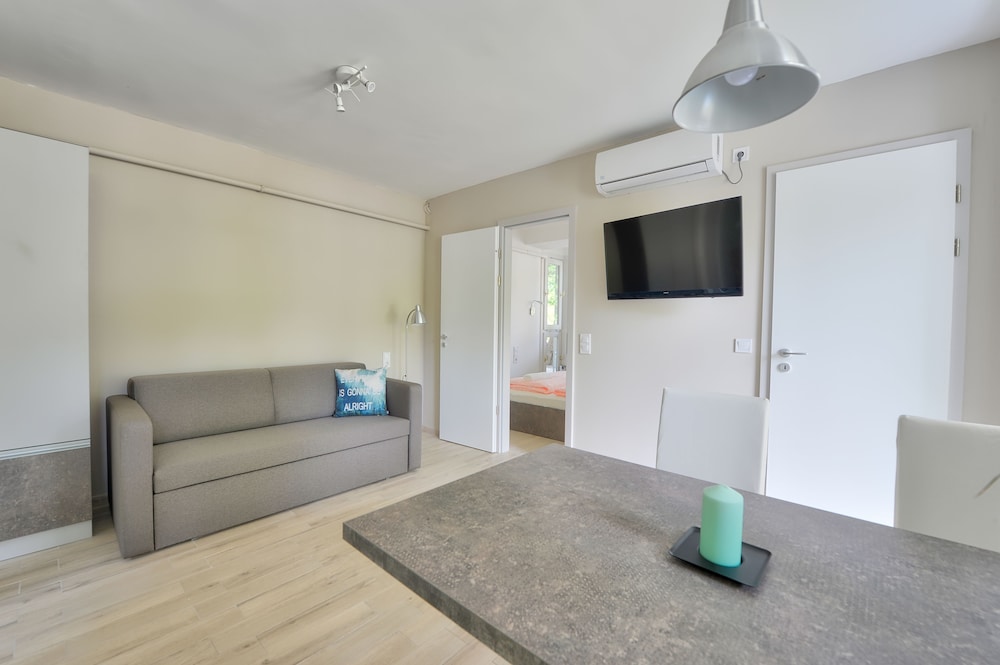 Premium Apartment, 1 Bedroom, Terrace photo 3