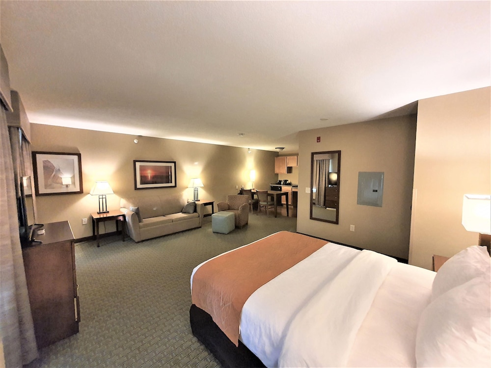 Elite Studio Suite photo 2