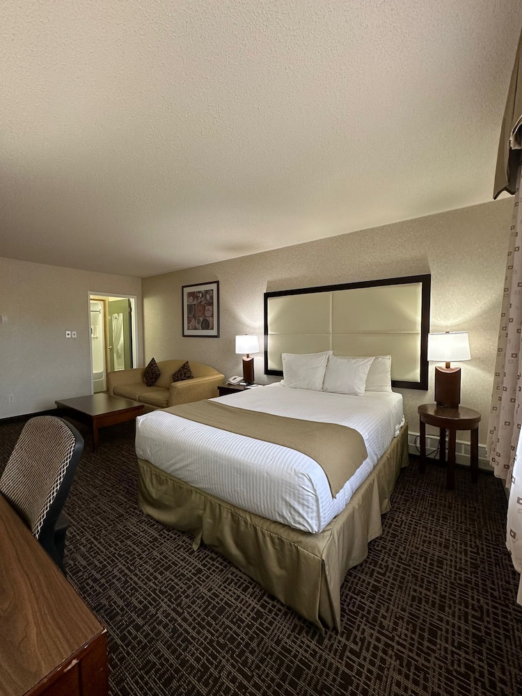 Room, 1 Queen Bed photo 2