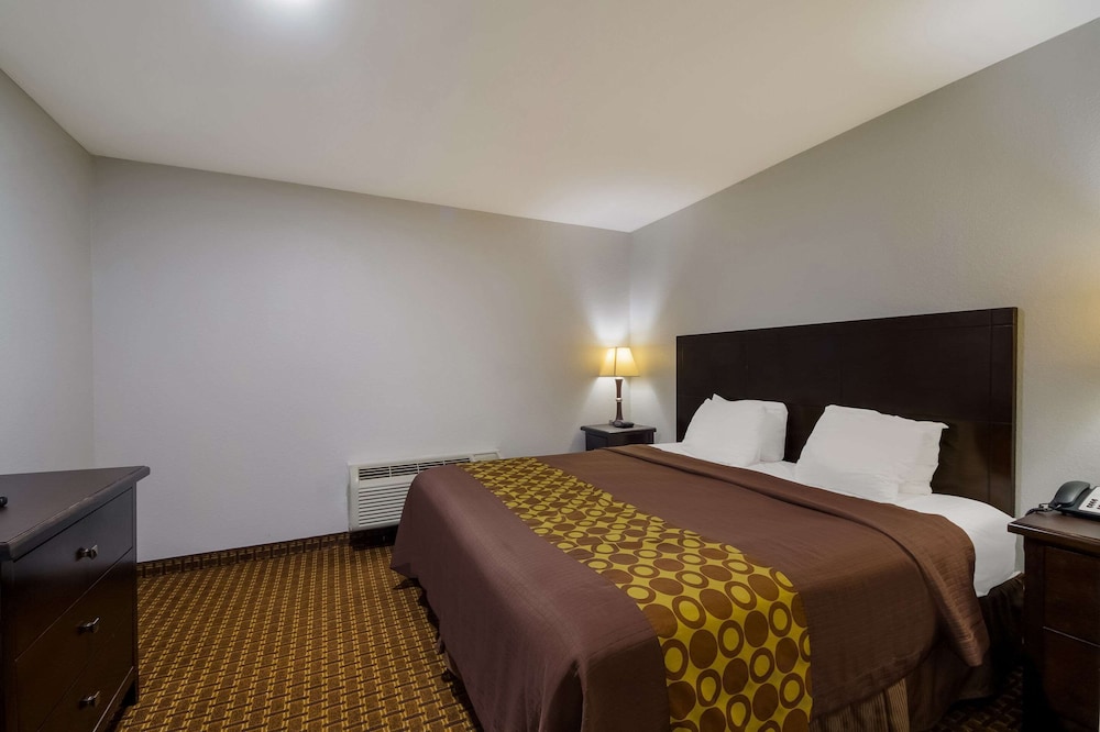 Basic Suite, Non Smoking (1 King Bed with 2 Person Sofa bed) - Photo 14