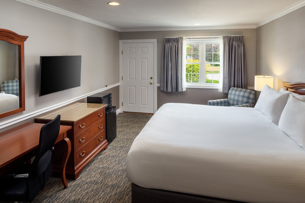 Room, 1 King Bed, Accessible - Photo 1