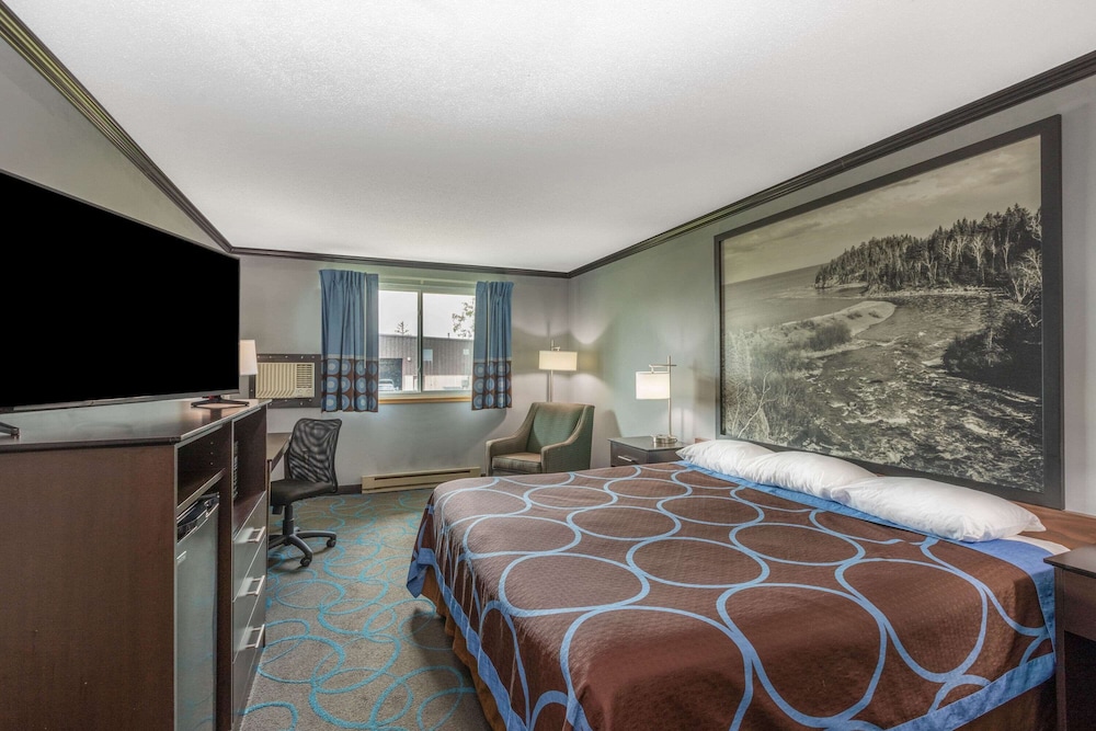 Room, 1 King Bed, Non Smoking (Pet Friendly) photo 1
