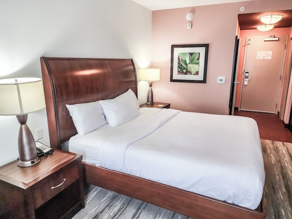 Room, 1 King Bed photo 1