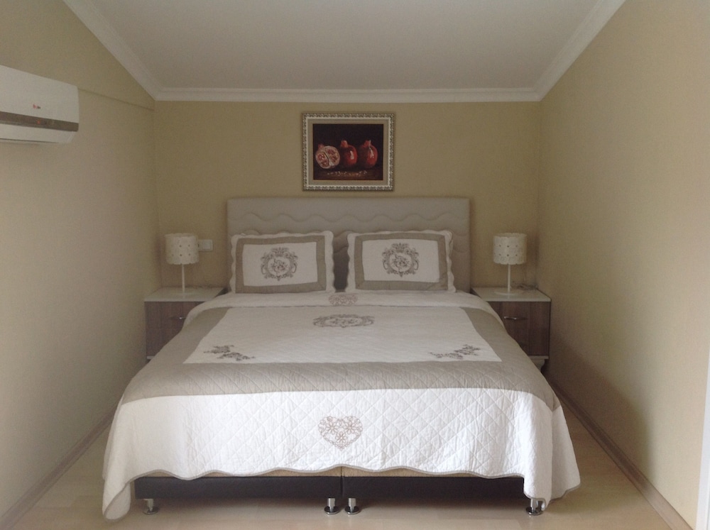 Standard Double Room, Non Smoking, Terrace photo 3
