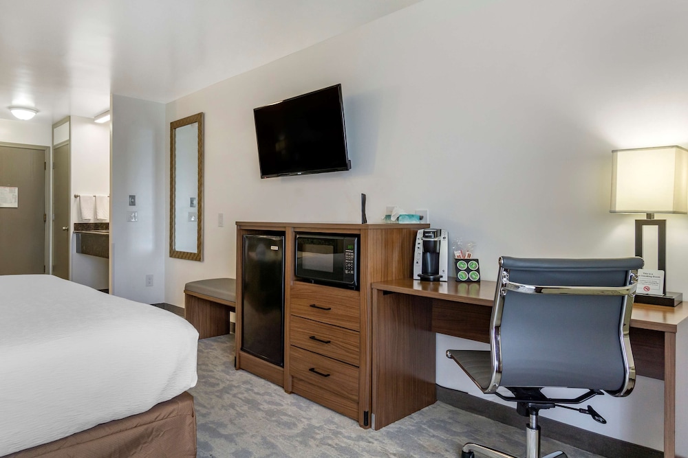 Standard Room, 1 King Bed, Non Smoking, Refrigerator & Microwave photo 1