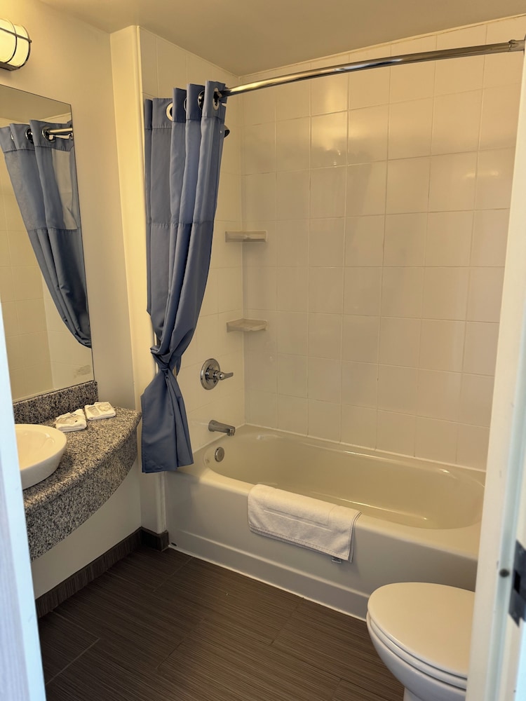 Deluxe Single Room, Multiple Beds, Non Smoking photo 2