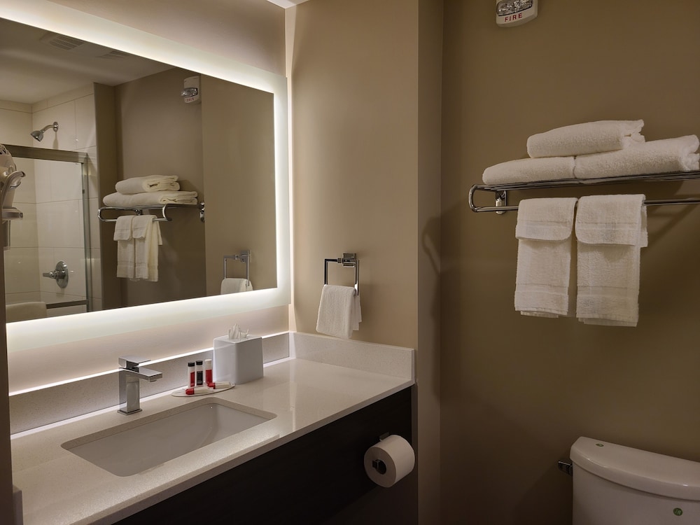 Room, Multiple Beds, Non Smoking (Concept) photo 3
