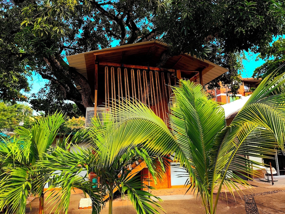 Superior Tree House photo 1