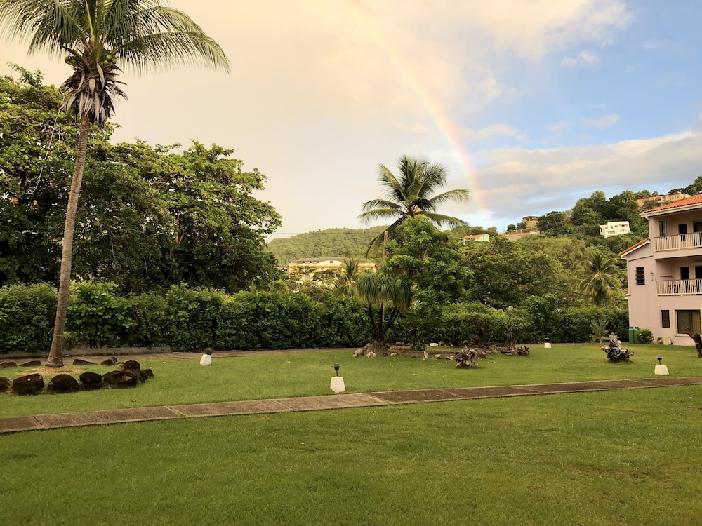 Standard Room, 1 King Bed, Garden View