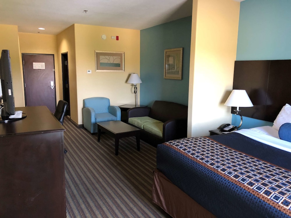 Suite, 1 King Bed, Non Smoking, Refrigerator & Microwave (with Sofabed)